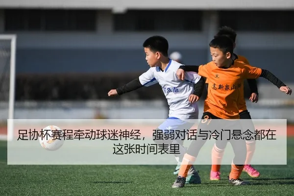 img_1779449998757_22_2_256.jpg